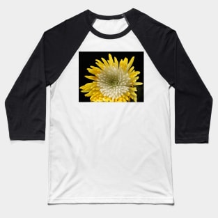 Yellow white Chrysanthemum Baseball T-Shirt